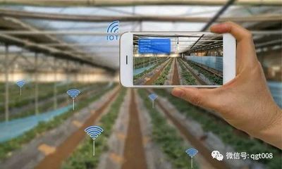 江蘇省數(shù)字農(nóng)業(yè)農(nóng)村工作要點(diǎn)發(fā)布，農(nóng)業(yè)培育迎來新機(jī)遇