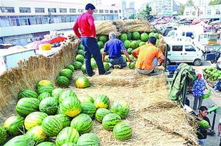 定鼎農(nóng)業(yè) 科技賦能培育新農(nóng)人，全產(chǎn)業(yè)鏈打造致富新范式